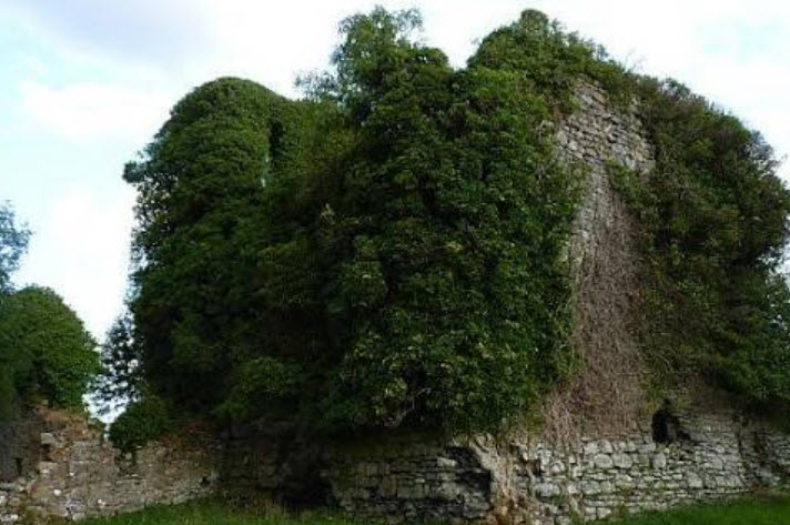 Aghamarta Castle, Ireland